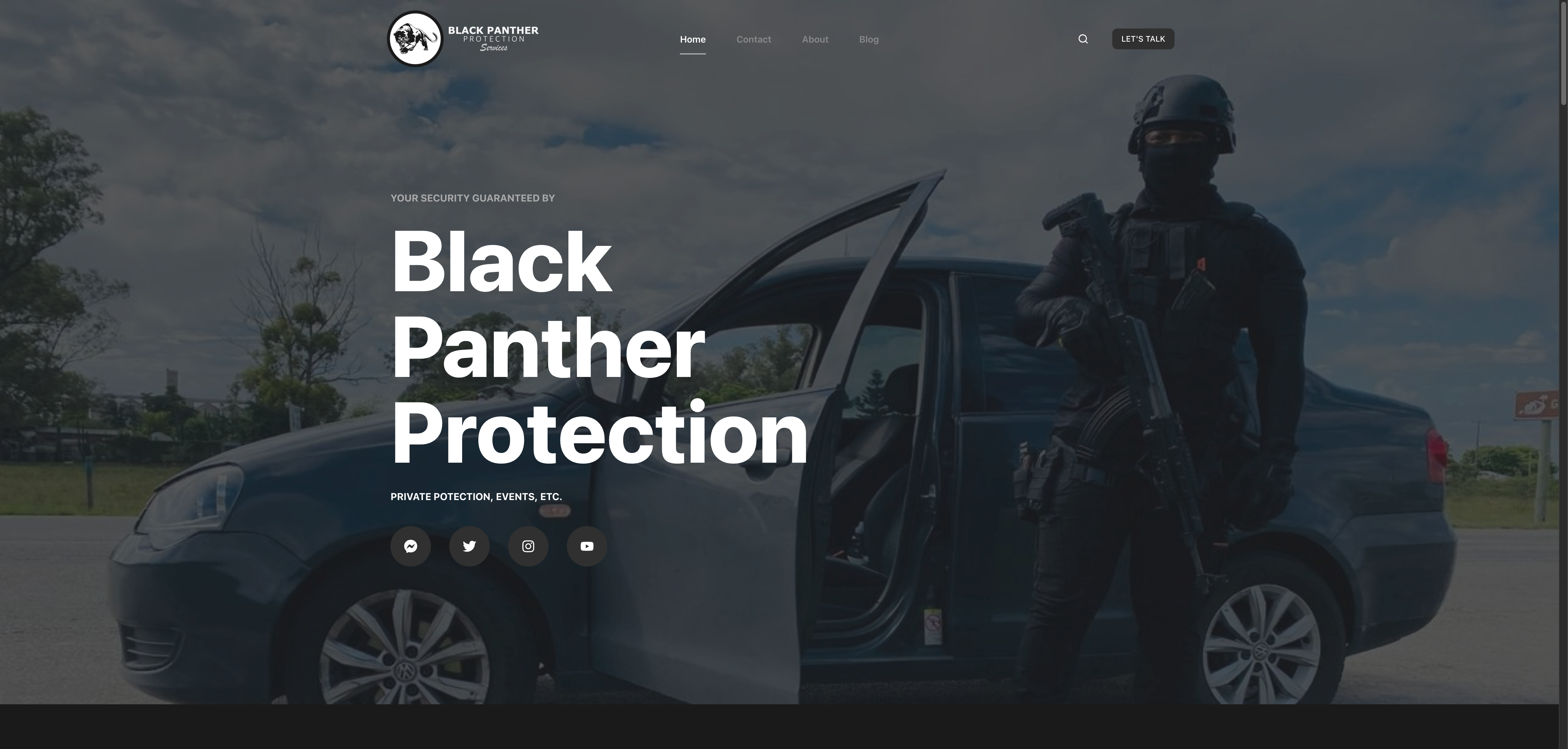 Black Panther Protection website screenshot.
